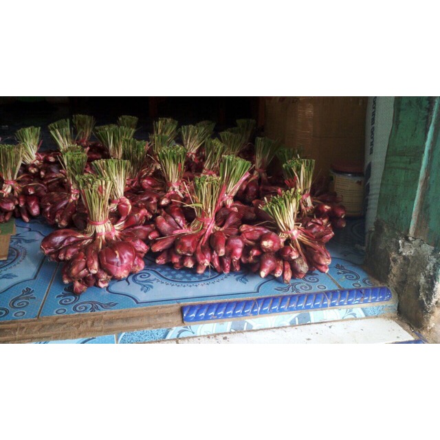 Bawang dayak segar 1kg Grosir