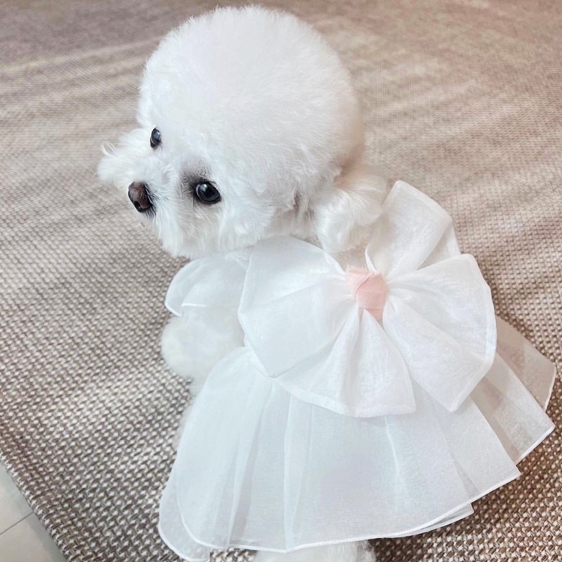 Myeong ribbon fluff dress