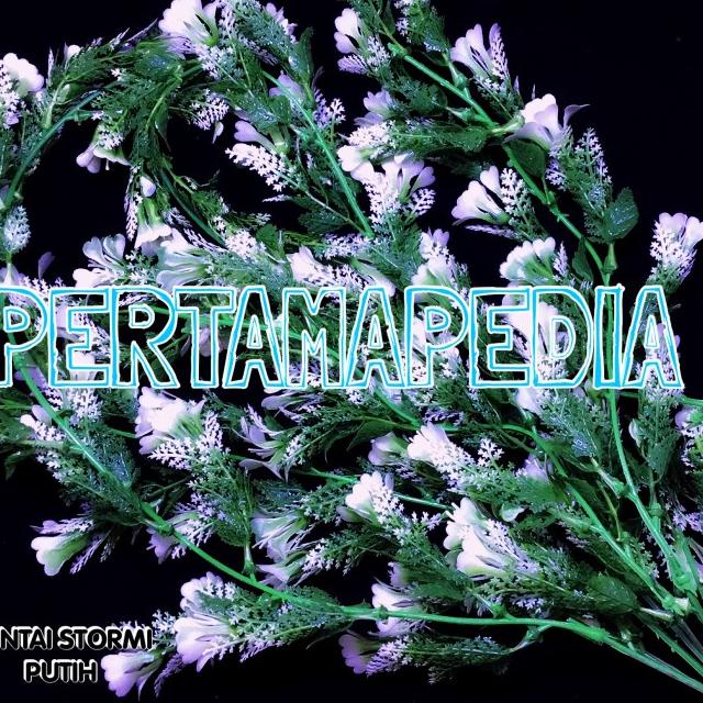 ☇ Bunga Plastik /Daun Rambat Plastik/ Daun Plastik/ Stormi Kuning - Putih ▼