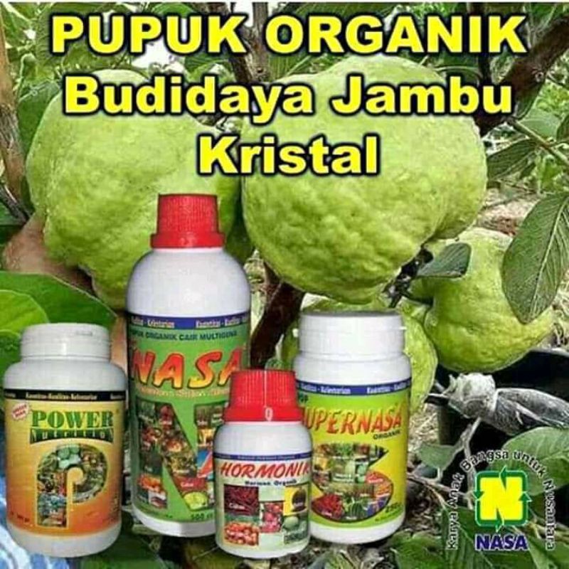 paket pupuk nasa pelebat buah jambu kristal / paket pupuk pelebat buah / paket pupuk organik nasa