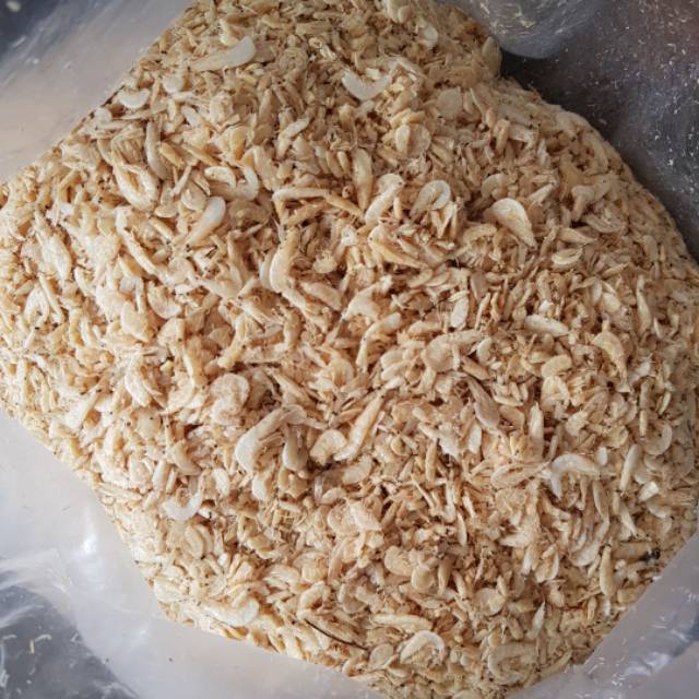 

Rebon Asin skw / Papai 500gr
