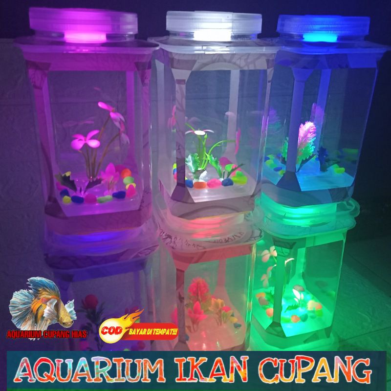 Aquarium Akuarium Wadah Tempat Penyimpanan Ikan Kecil Cupang Guppy Unik Keren Murah Bentuk Persegi E
