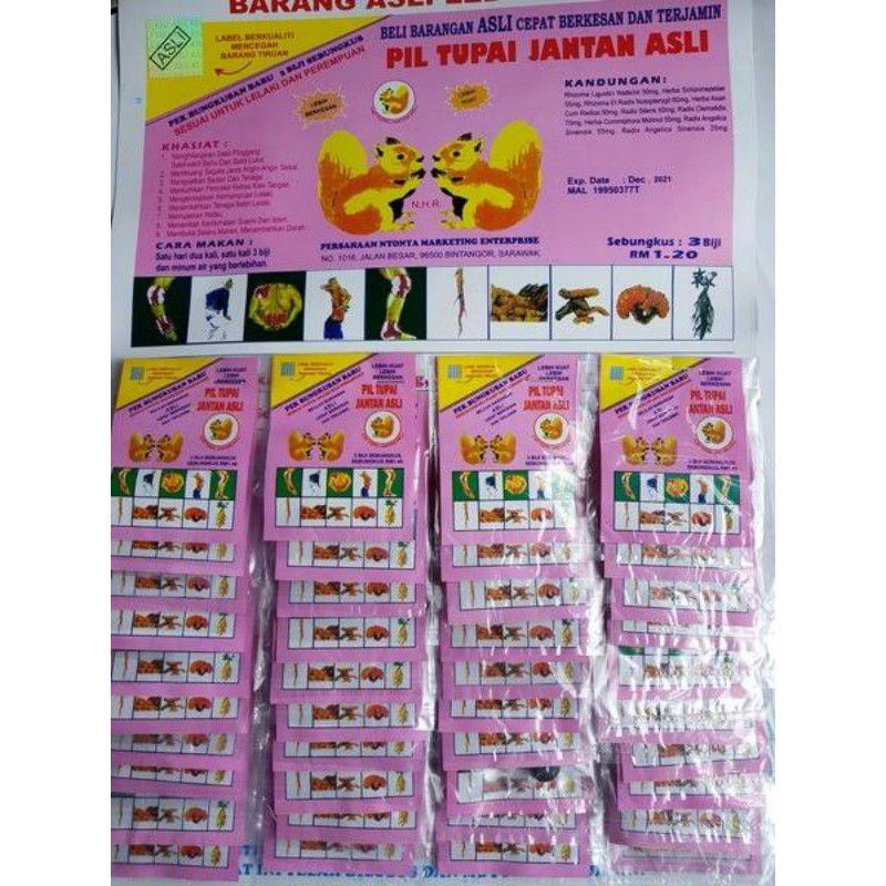 Pil tupai jantan Original