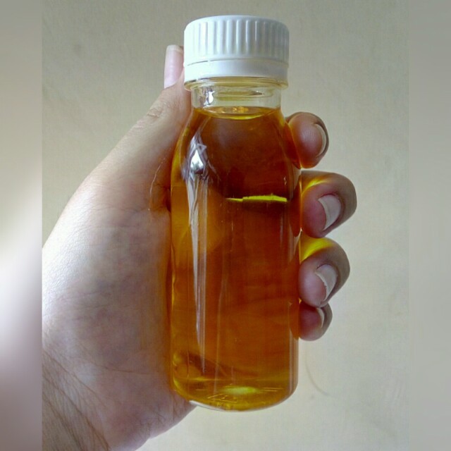 Minyak Ikan Hiu Umpan Pancing 100% Murni