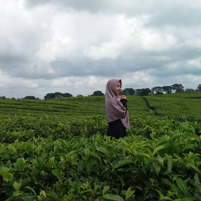 afnisriwanti