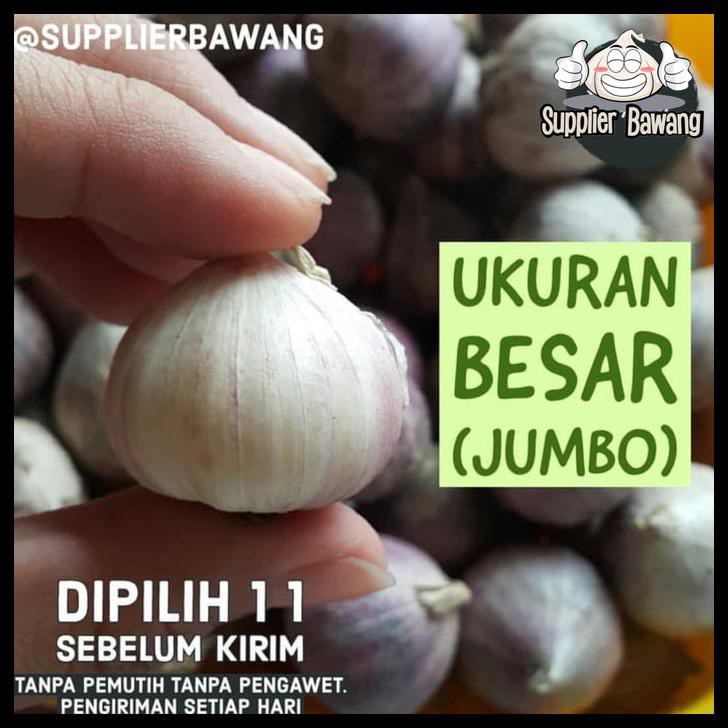 Bawang Putih Tunggal / Bawang Lanang Super Ukuran Besar Jumbo 500gr