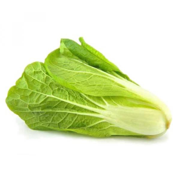 

ROMAINE LETTUCE 500 GRAM