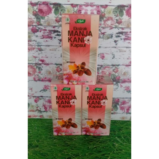 [PROMO] Manjakani Obat Keputihan Organ Intim Kewanitaan Tulang Kuat Malaria Kanker