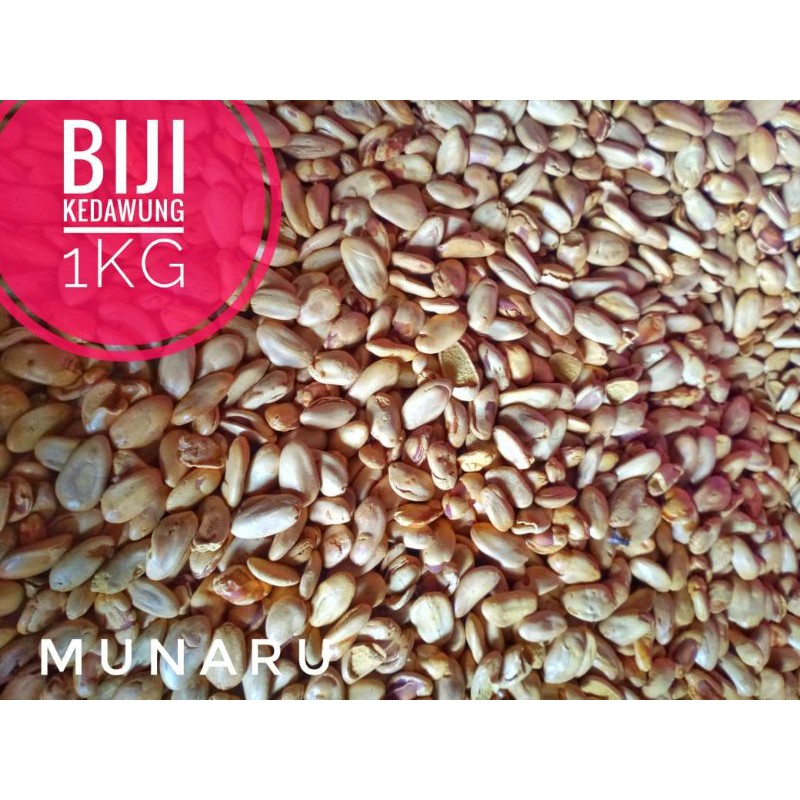 

Biji Kedawung Matang 1kg