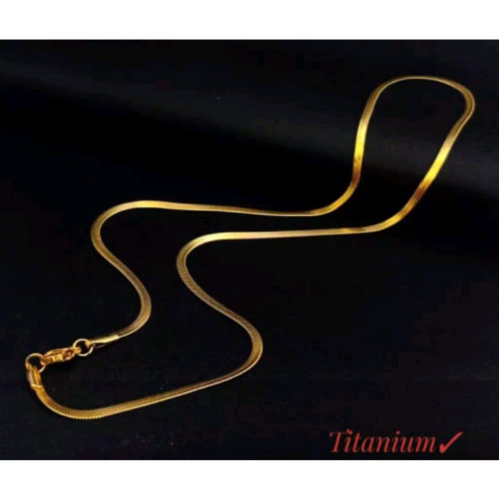 kalung titanium tulang belut pipih awet selamanya