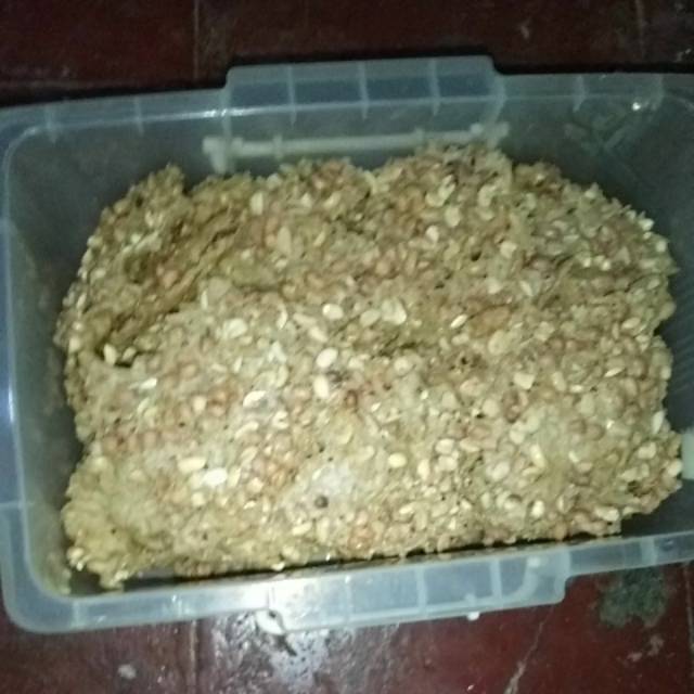 

Peyek kacang gurih dan renyah