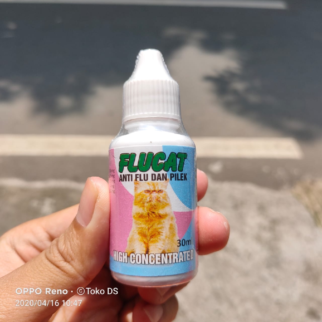 Obat Kucing Flucat