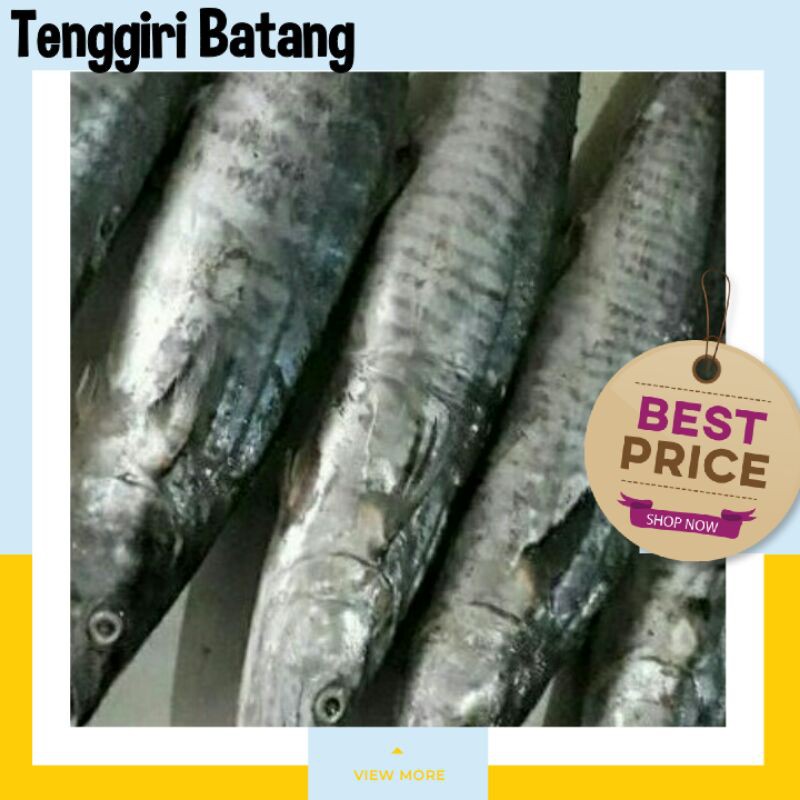 IKAN LAUT  TENGGIRI BATANG / IKAN TENGGIRI 1KG