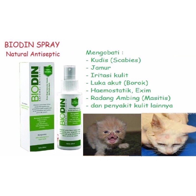 BIODIN SPRAY 100ml OBAT SCABIES OBAT JAMUR KELINCI OBAT GATAL KUCING OBAT KUDIS ANTISEPTIK HEWAN