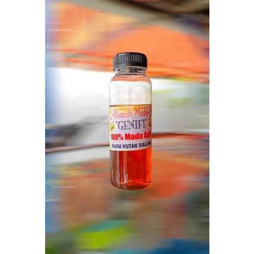 

GENIFI || Madu Hutan Sialang asli 100%