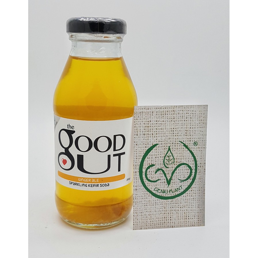 

Sparkling Kefir Soda : Ginger Ale - 280g