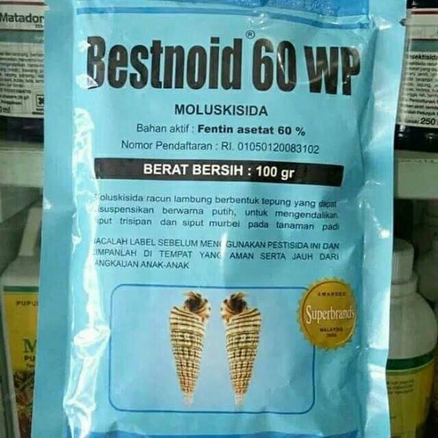 Bestnoid 60WP 100gr