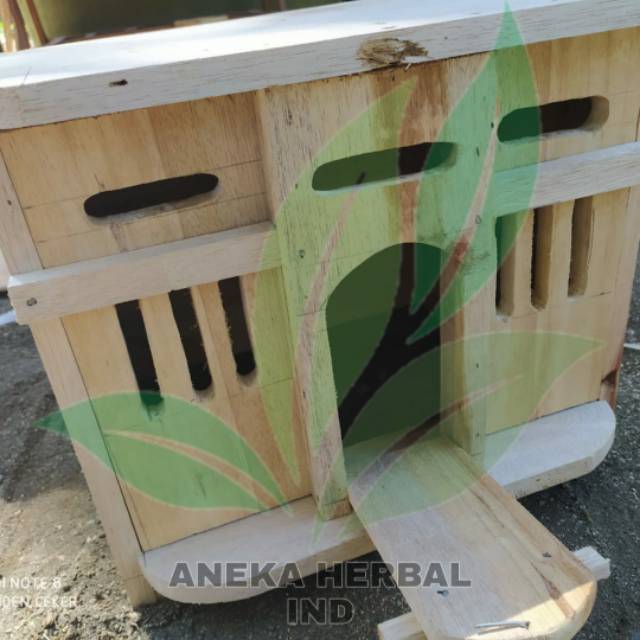 Kandang Burung Merpati - Kandang Burung Love Bird