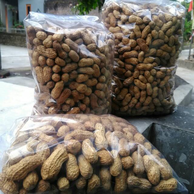 

Kacang Goreng Sangrai 1 KG