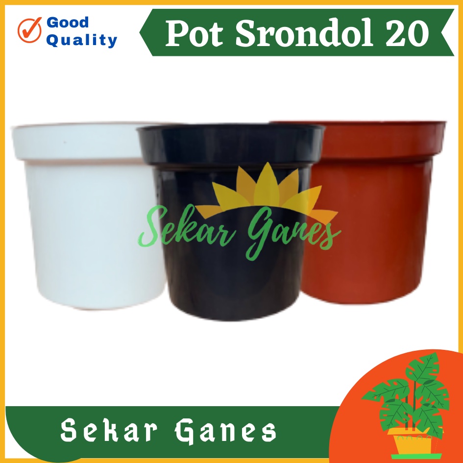 Pot Tinggi Srondol 20 Putih Hitam Merah BataTerracota Terracotta Merah Coklat - Pot Tinggi Usa Eiffel 18 20 25 Lusinan Pot Tinggi Tirus 15 18 20 30 35 40 50 Cm Pot Bunga Plastik Lusinan Pot Tanaman Pot Bibit Besar Mini Kecil Pot Srondol