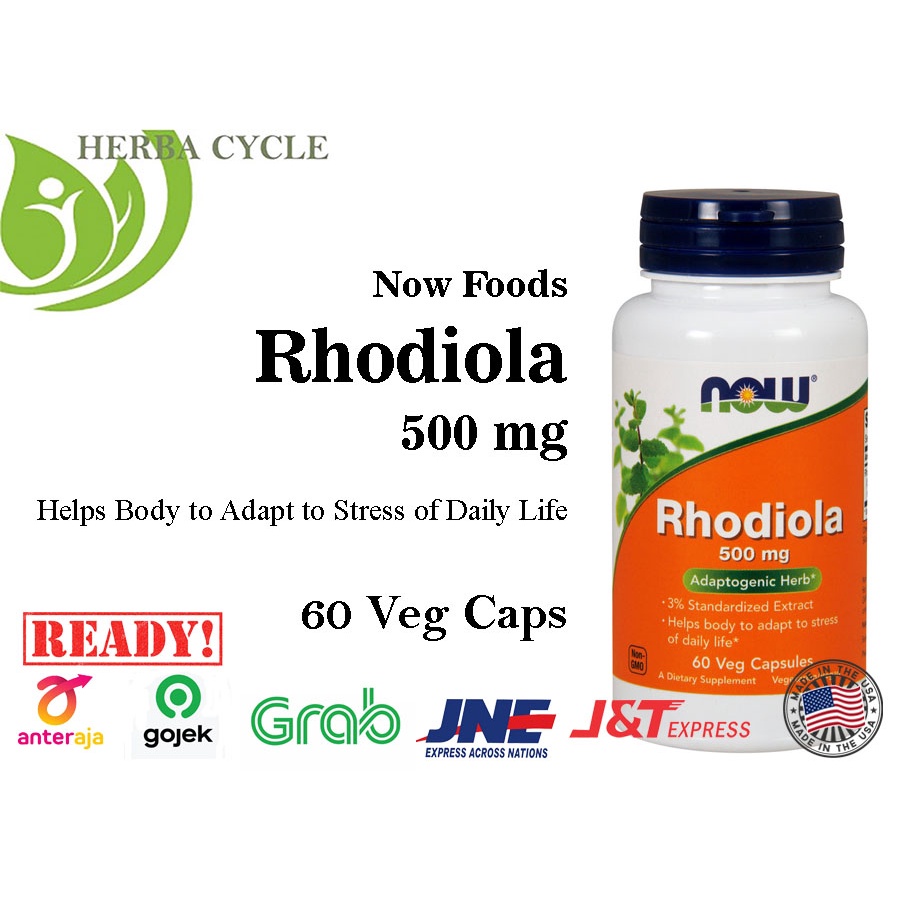 Now Food Rhodiola 500 mg 60 Veg Cap Now Rhodiola Ori USA