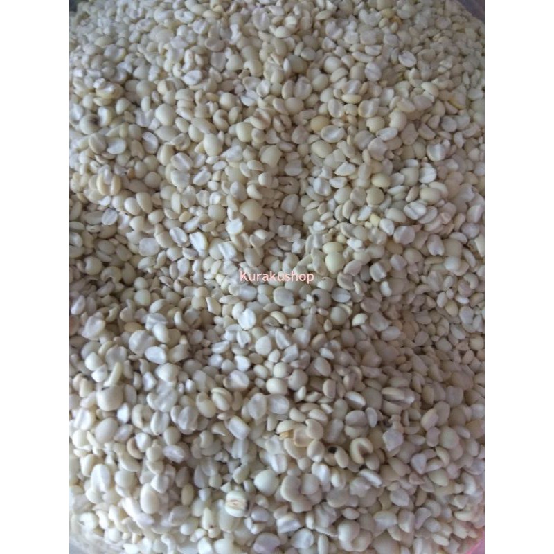 

JALI ACEH 1 KG
