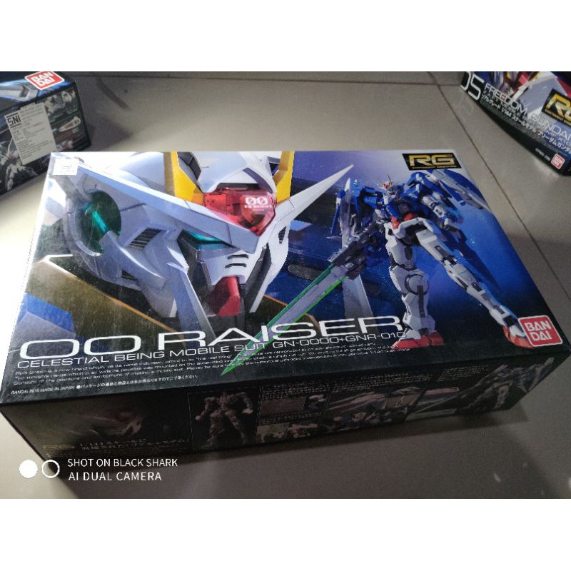 rg gundam 00 raiser