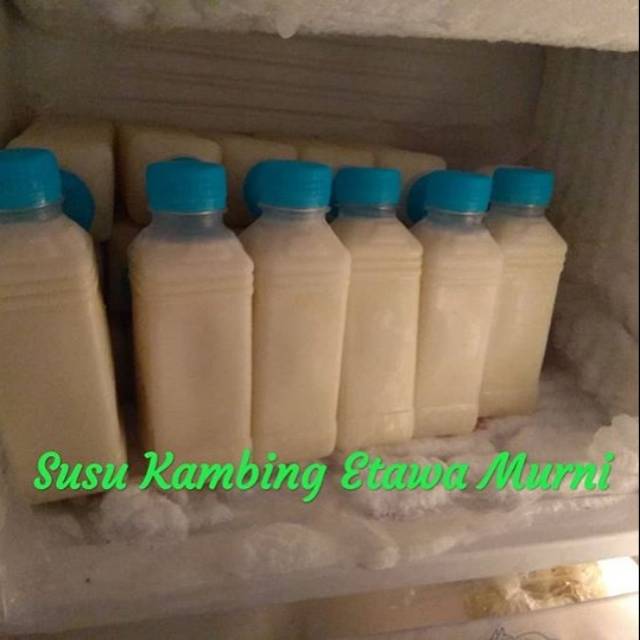 

Susu Kambing Etawa Murni SheepMoo