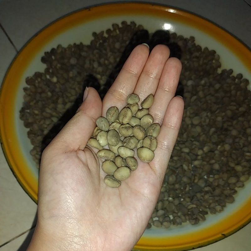 

BIJI KOPI TORABIKA ASLI 100%