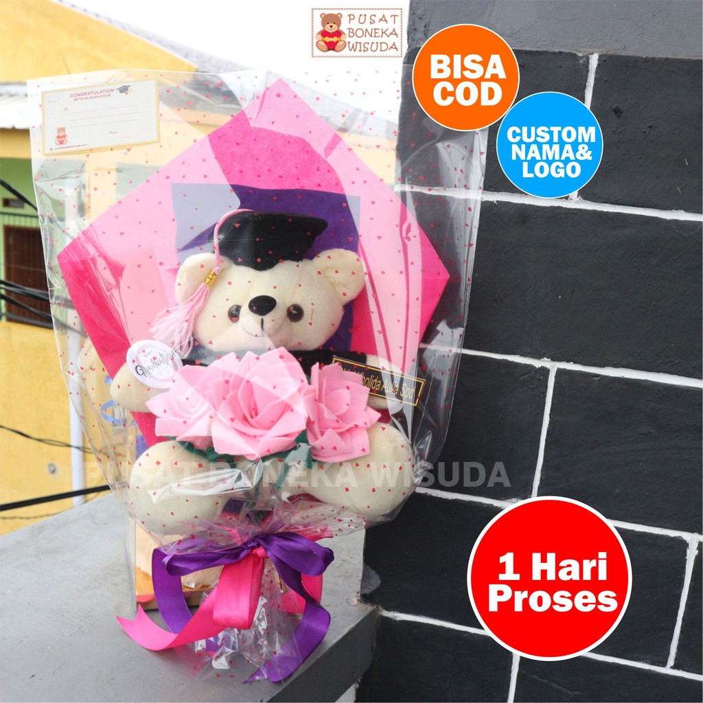 Buket Bunga Boneka Wisuda Bucket Bunga Teddy Bear Karakter Kado Hadiah/Anniversary/Ulang Tahun Ultah