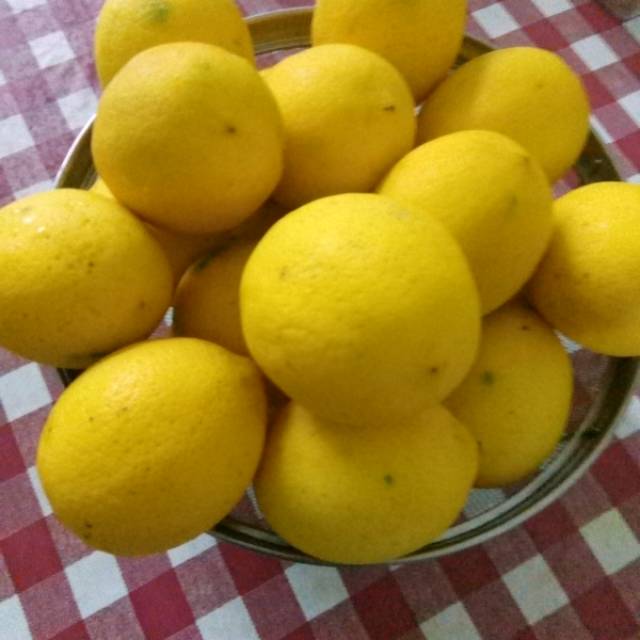 

Lemon California