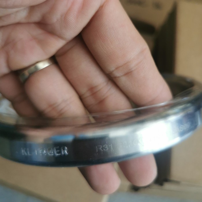 Ring Gasket R31 RTJ Octa SS316