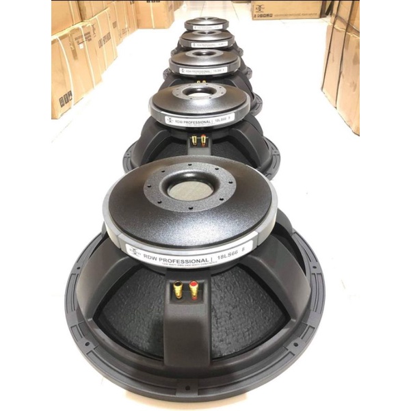 Speaker 18 in RDW 18LS66 Original