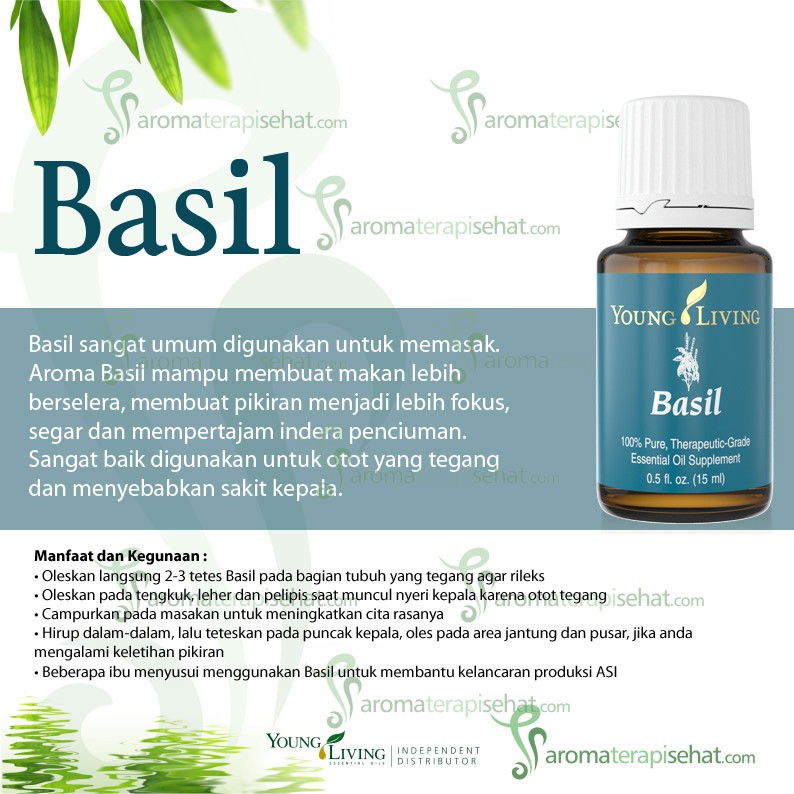 Basil Essential Oil 15 Ml Young Living Shopee Indonesia