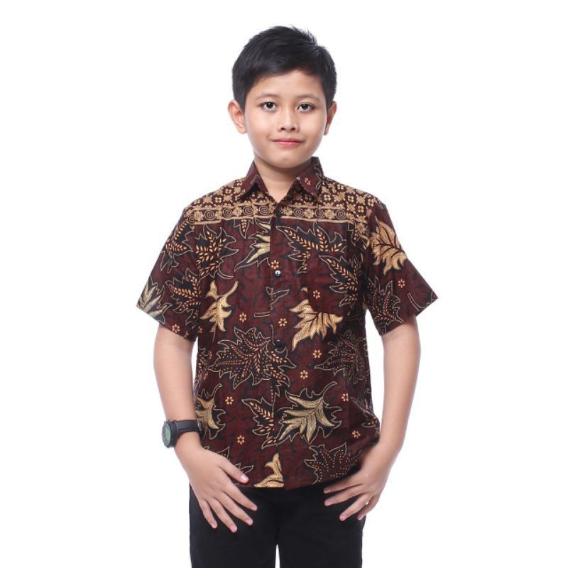 Kemeja Batik Anak - batik anak - baju batik anak laki laki umur 2-10 tahun hem batik anak-