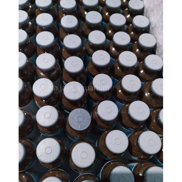 

PROMO HARI INI MEM PRIME 200 300 ORIGINAL pakan guppy cupang burayak repack 15gr
