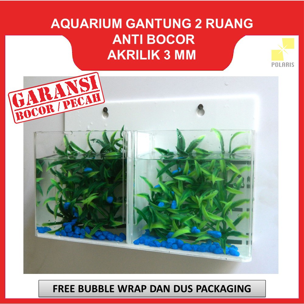 AKUARIUM CUPANG GANTUNG / AQUARIUM AKRILIK DINDING / SOLITER CUPANG AKRILIK 2 RUANG