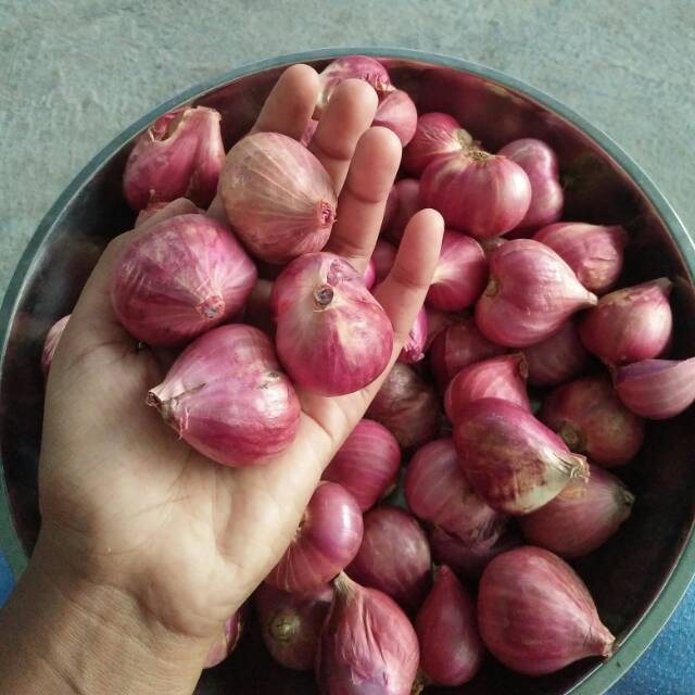 

Bawang merah super madura