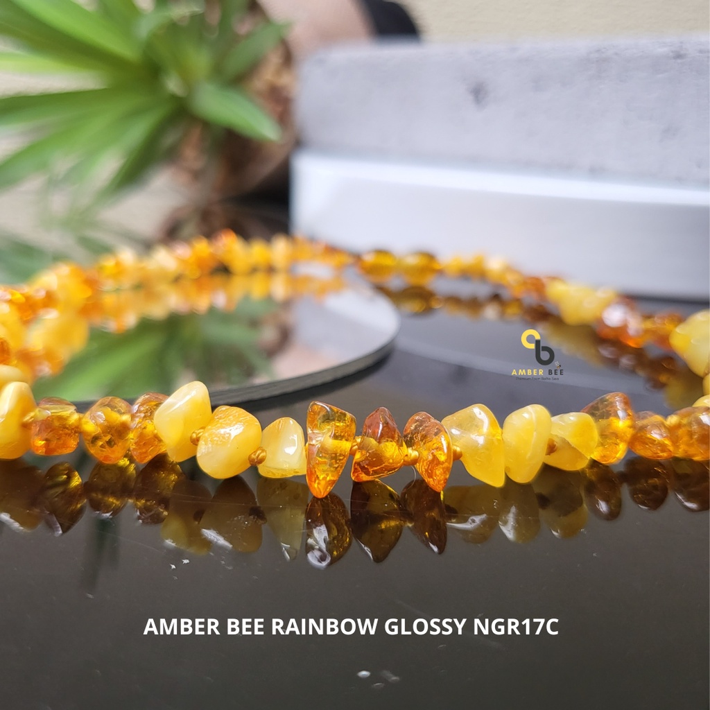 PROMO Termurah Kalung Amber Bayi Anak Premium Glossy Rainbow Nugget By Amber Bee