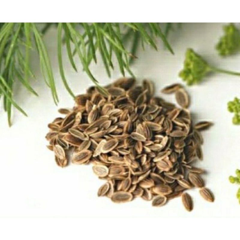 

Dill Seed/Adas Sowa