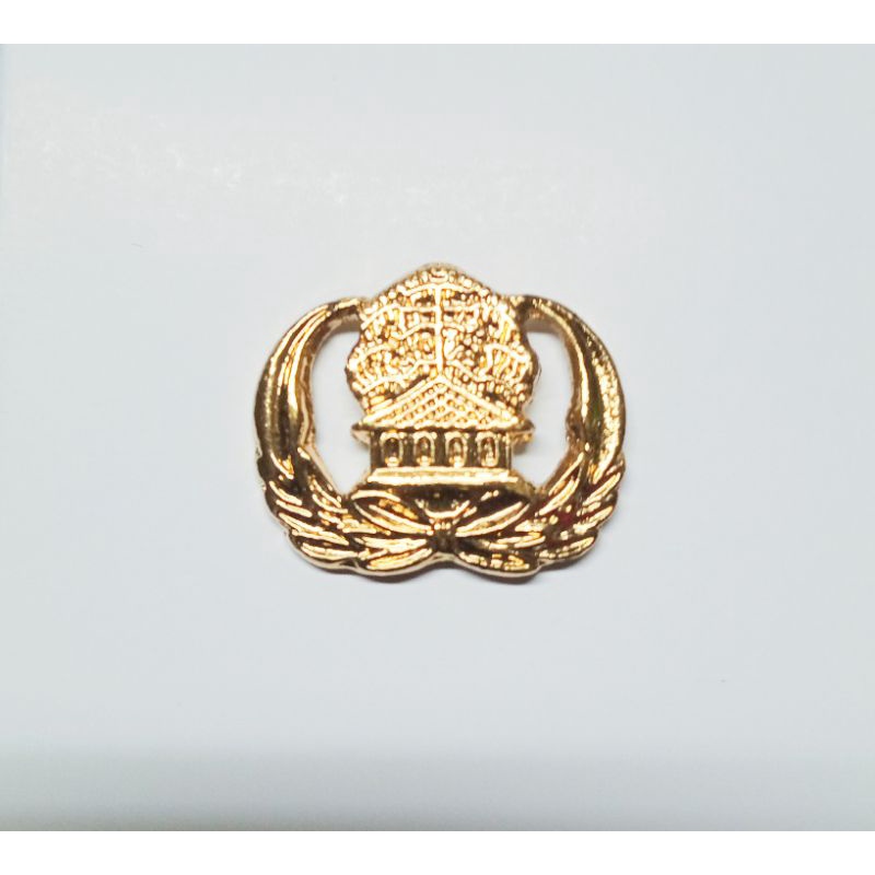 

Pin Korpri