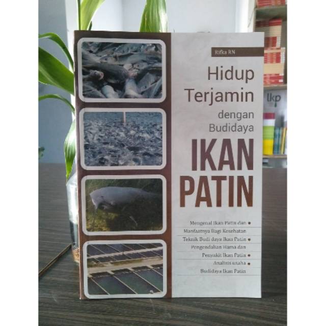 Hidup Terjamin Dengan Budidaya Ikan Patin - Rifka RN
