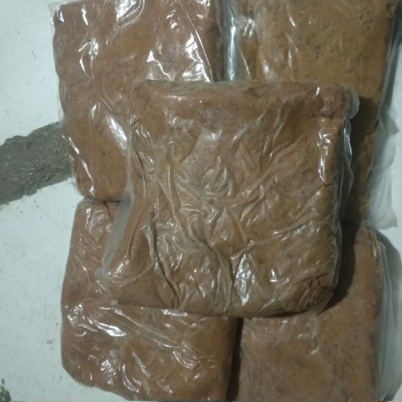 umpan pala udang GT lele terlaris