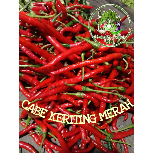 

Cabe Merah Keriting 250 gram | Cabe Keriting Merah | Fresh Vagetable