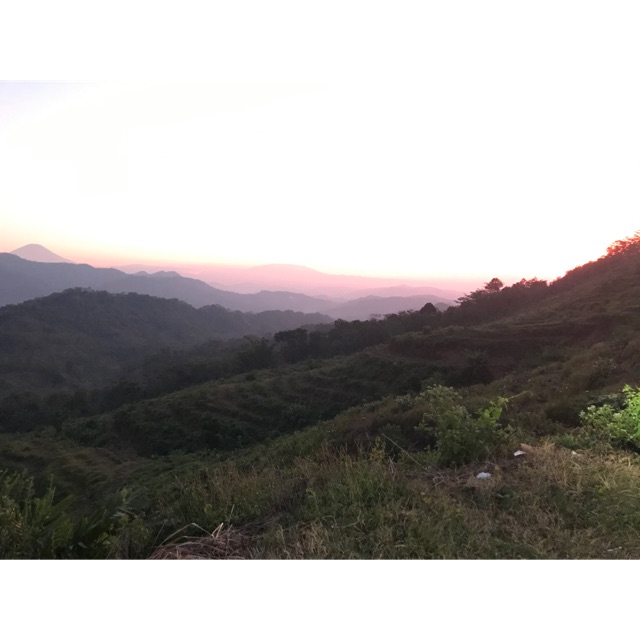 wiwitniakusuma