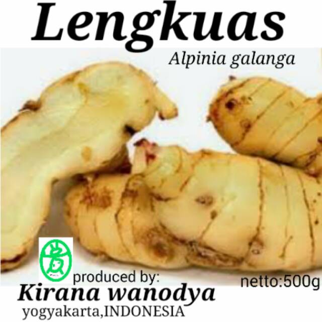 

Lengkuas Bubuk 500g Laos Galanga - Kirana