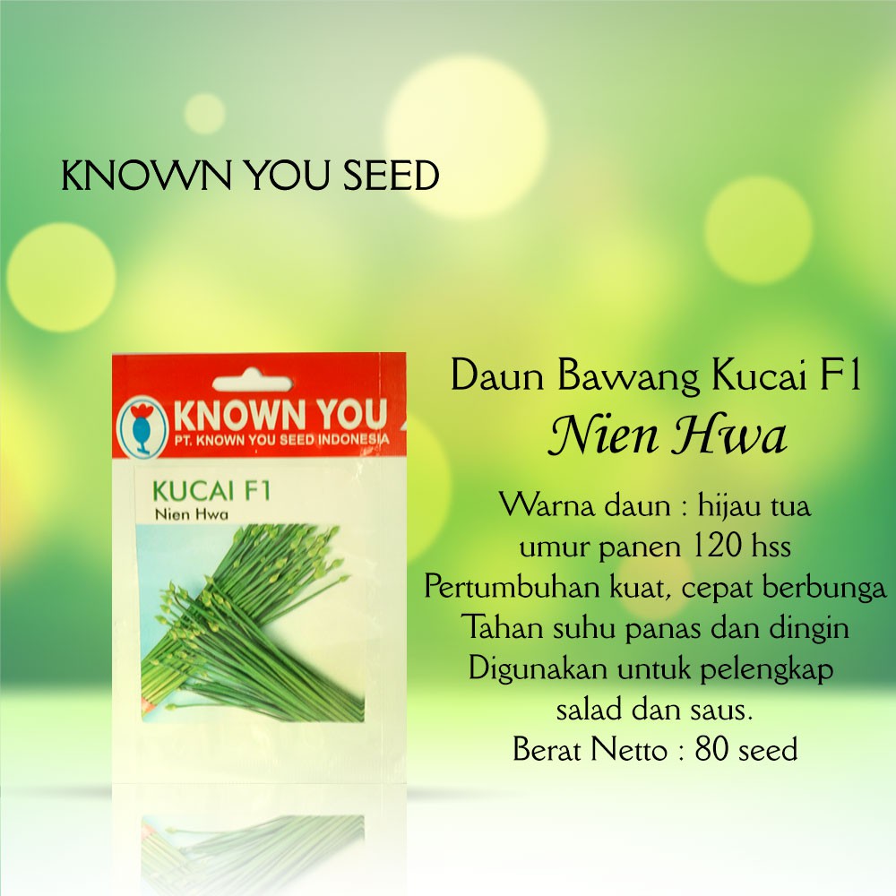 Benih Kucai F1 Nien Hwa 80 seed - Known You Seed