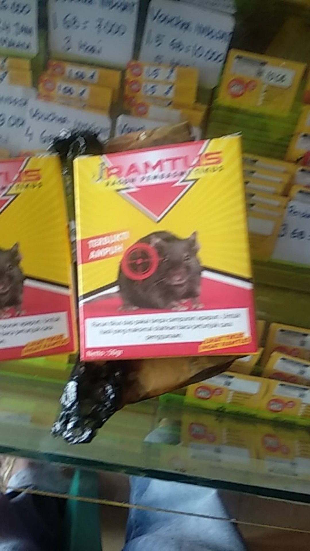 Ramtus Racun Tikus Got Rumahan Mematikan Pembasmi Paling Tuntas Mati Kering