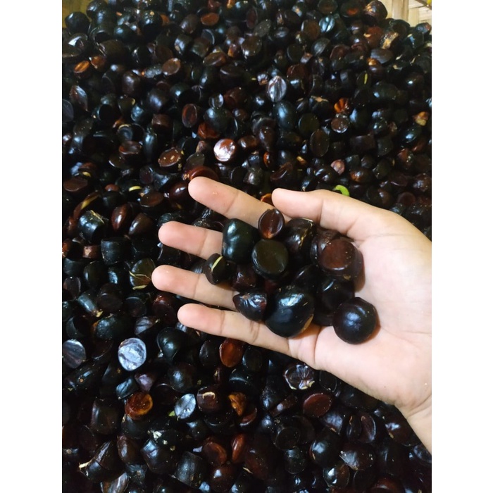 Buah Kabau Jolang Jaling | Julang Jaling | saudaranya Pete dan Jengkol 200gr arfan sukses