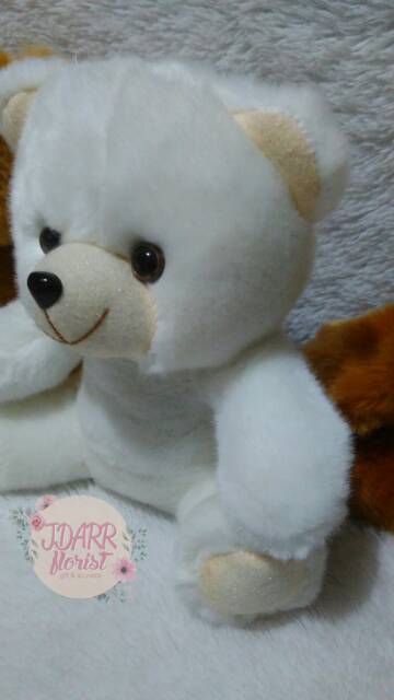 Boneka Polosan | Boneka Ukuran Sedang 23cm | Boneka Wisuda